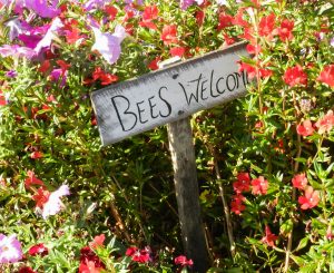 Bees Welcome